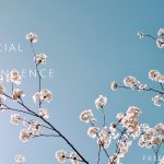 株式暴落相場で、どのように資金を投入するか。その購入タイミングとは。