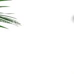 【株式投資の未来】新自由主義からの揺り戻しが、早晩起こることも想定しておきたい