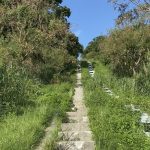 【Stairway to Heaven】沖縄で「階段という資源」発見につき爆走のち米軍兵士と遭遇しLINEを交換するなど。