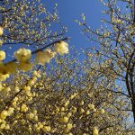 「株式投資でしっかり稼いで、しっかり使う」という意義と効用