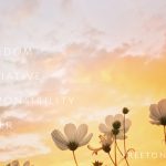 株式市場が好調である時期に気をつけたいこと