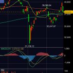 今年３回目となるブラックマンデーに購入した日本株