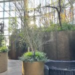 都会の極致「高輪ゲートウェイ」で見つけたもの。洗練された空間と、改めて気づく「自然」の芳醇さ。