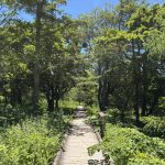 50歳、資産1.5億円。家族のためのセミリタイア、月60万円の収入を得るには