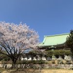 桜を愛でるに適した、天堂と見まがう楽天地「総持寺」