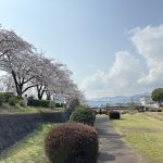 今週の売買と相場雑感