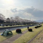 本日はお花見日和、情緒あふれる夜桜まで。あたりまえではない尊い日々